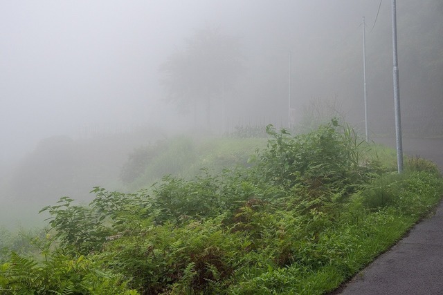 DSC_3404.jpg
