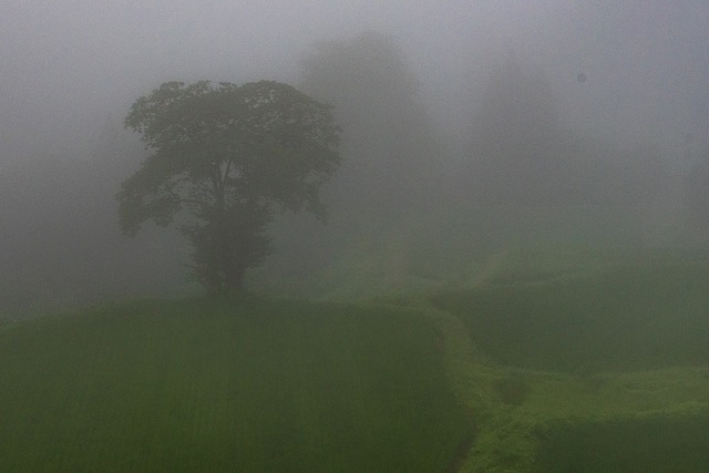 DSC_3417.jpg