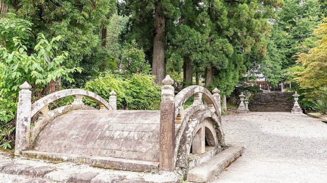 DSC_3767.jpg