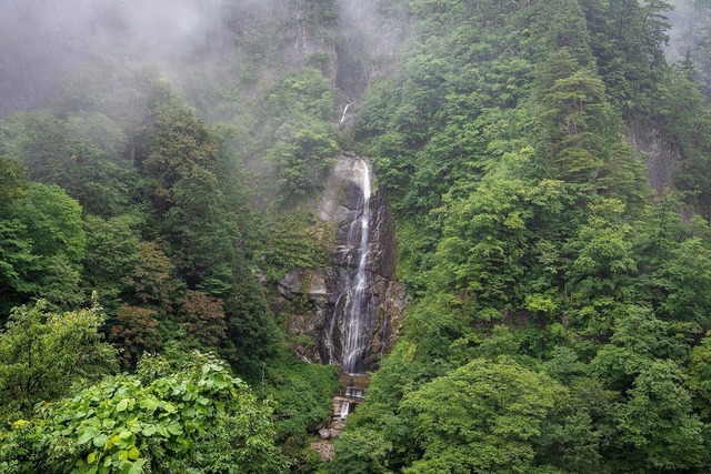 DSC_4006.jpg