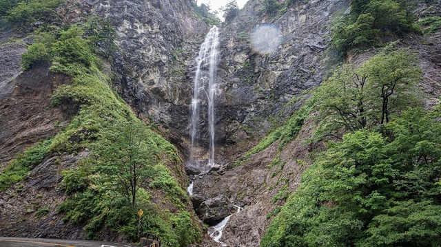 DSC_4017.jpg