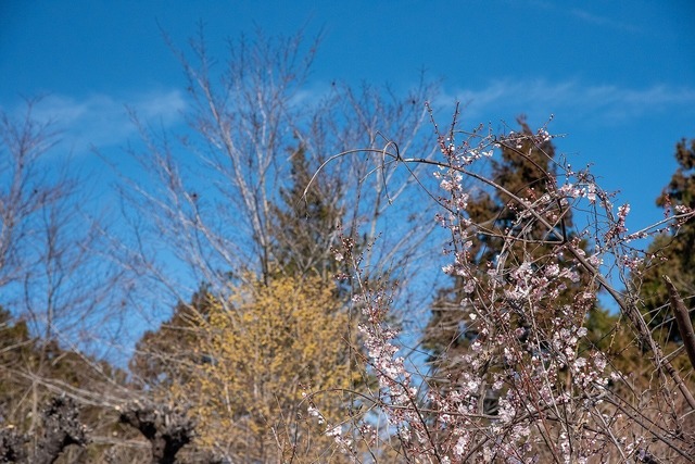 DSC_4570.jpg