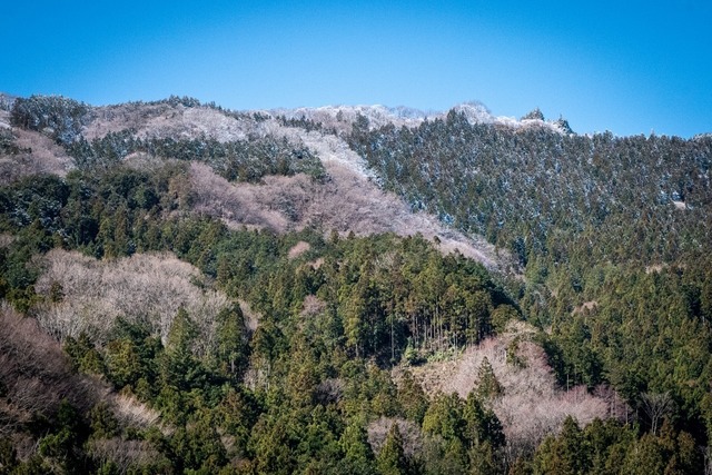 DSC_5356.jpg