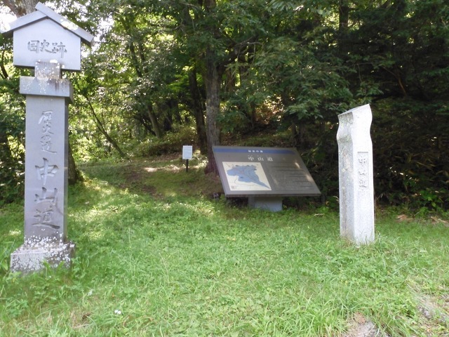 DSCN0317.jpg