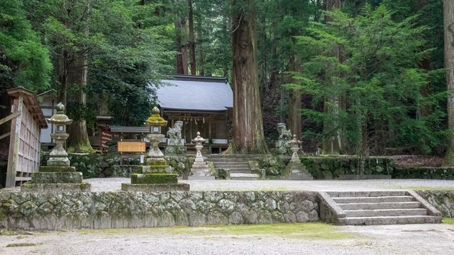 DSC_6216.jpg