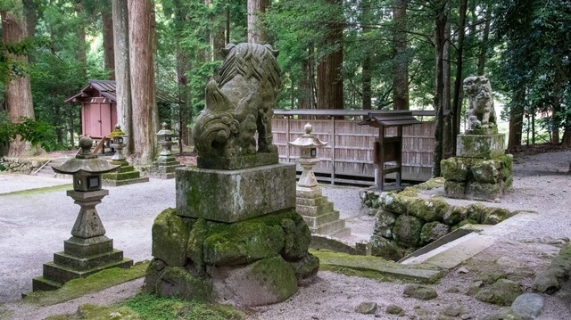 DSC_6232.jpg