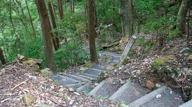 DSC_6268.jpg