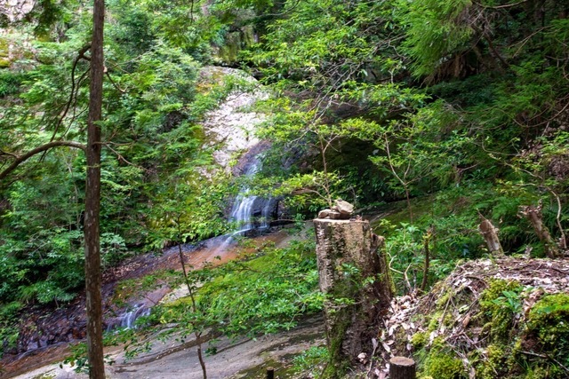 DSC_6273.jpg