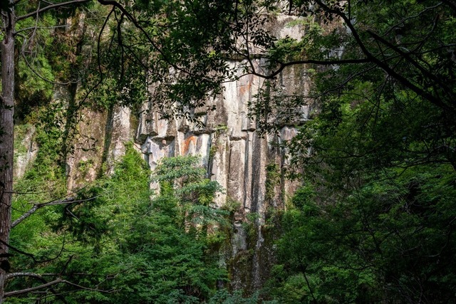 DSC_6289.jpg