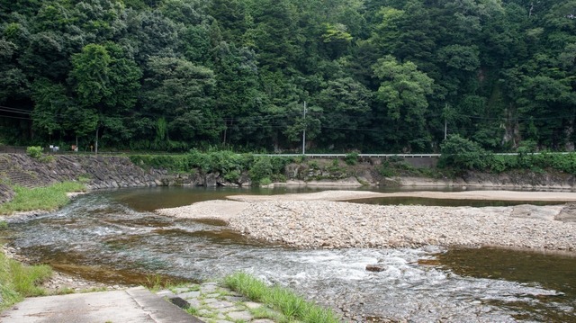 DSC_6310.jpg