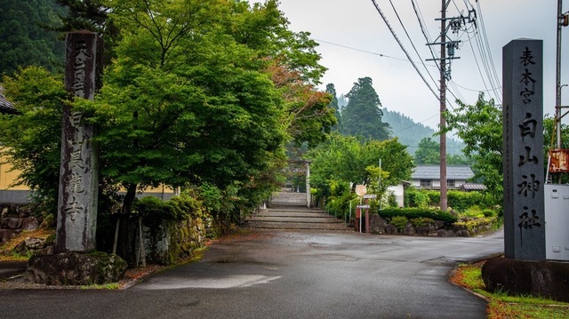 DSC_6364.jpg