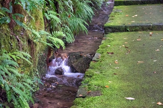DSC_6435.jpg