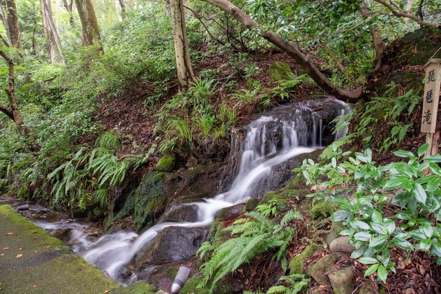 DSC_6530.jpg