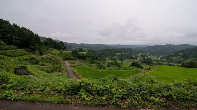 DSC_6549.jpg