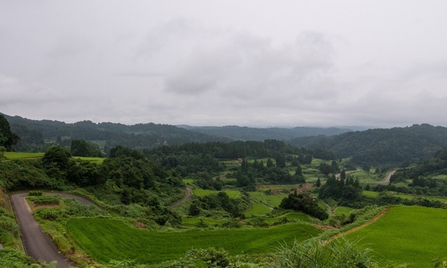 DSC_6551.jpg