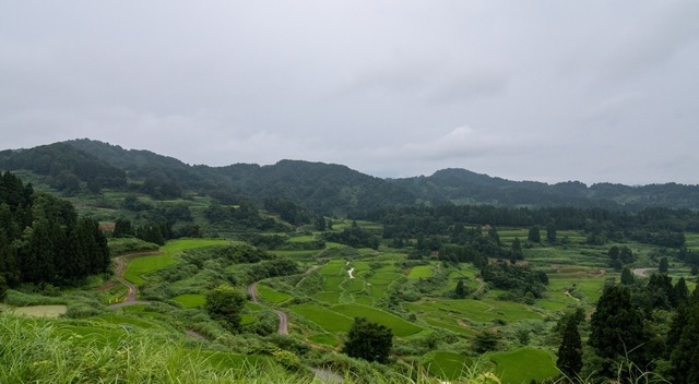 DSC_6552.jpg