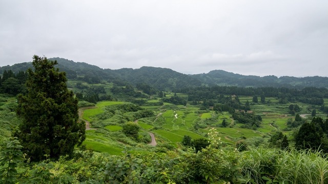 DSC_6557.jpg