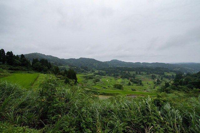 DSC_6558.jpg