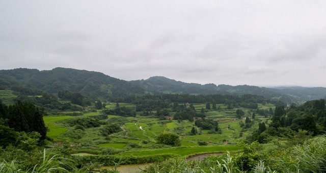 DSC_6561.jpg