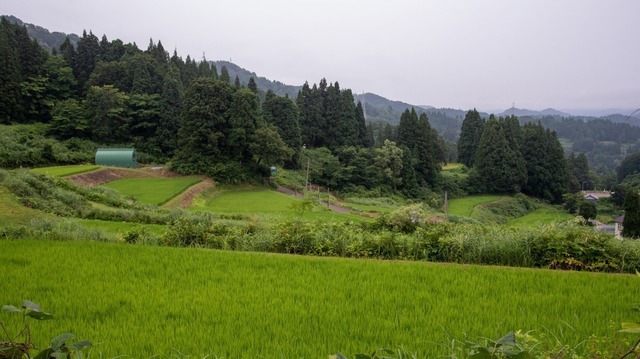 DSC_6539.jpg