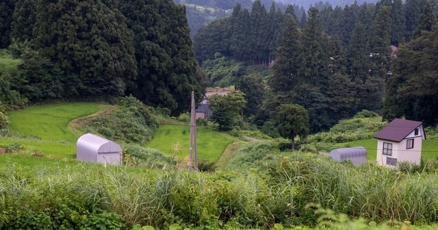 DSC_6540.jpg