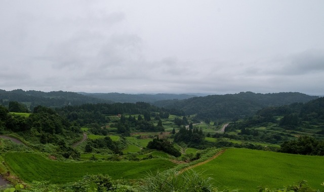DSC_6547.jpg