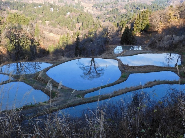 DSCN0559.jpg