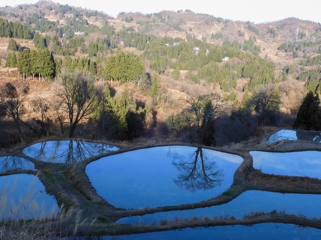 DSCN0561.jpg