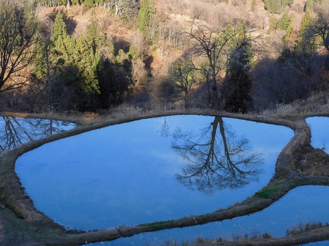 DSCN0562.jpg