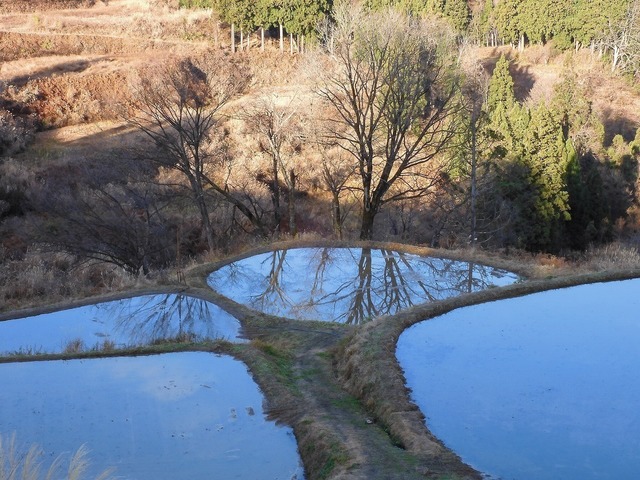 DSCN0563.jpg