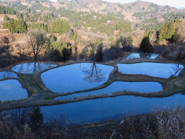 DSCN0565.jpg