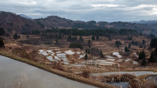 DSC_7112.jpg