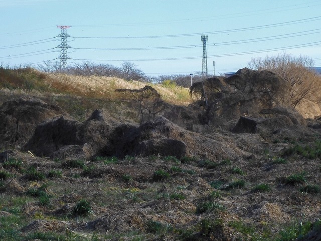 DSCN0697.jpg