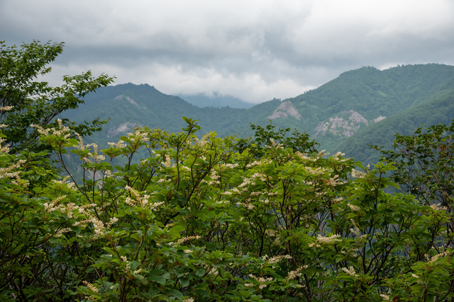 DSC_9717.jpg