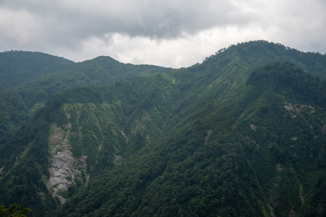 DSC_9735.jpg