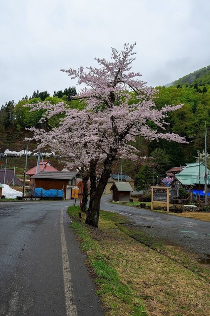 DSC_0710.jpg