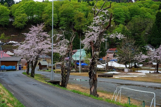 DSC_0706.jpg