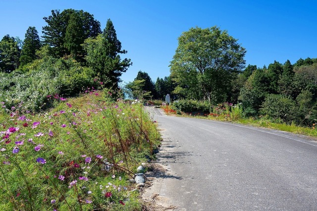 DSC_1560.jpg