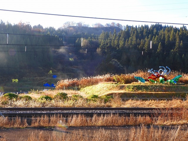 DSCN0120.jpg