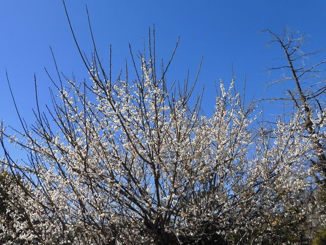DSCN0224.jpg