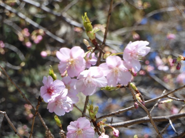 DSCN0235.jpg