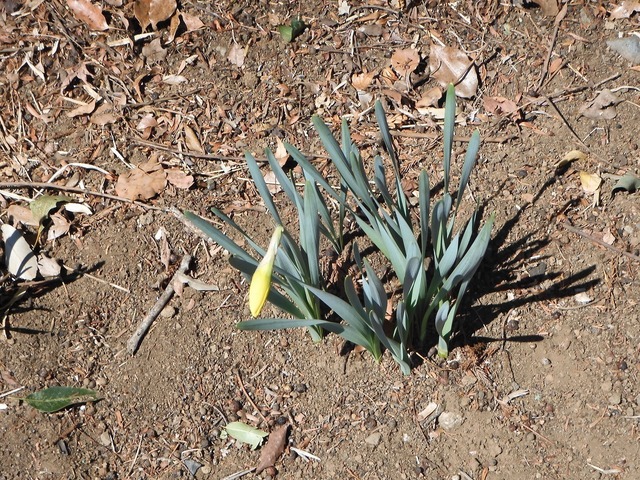 DSCN0236.jpg