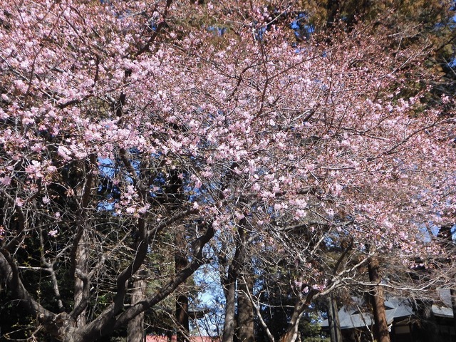 DSCN0240.jpg