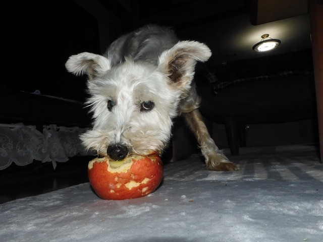 DSCN0761.jpg