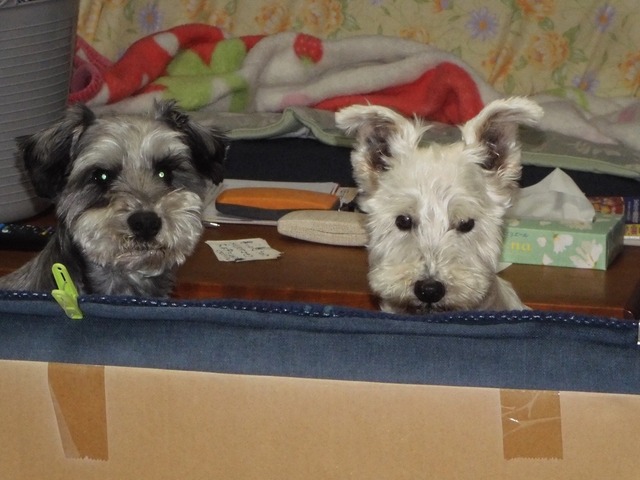 DSCN0770.jpg