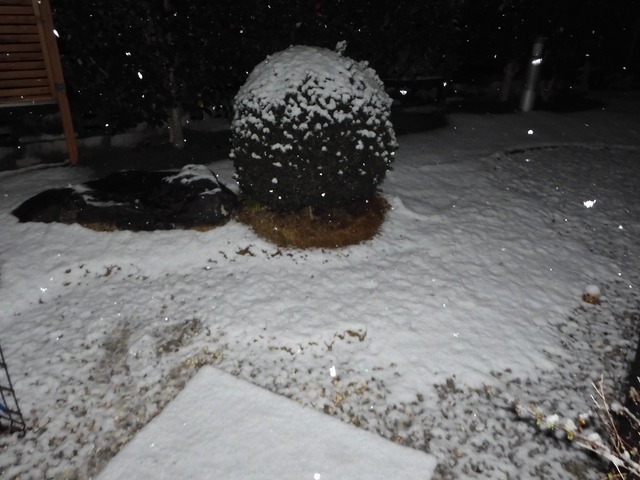DSCN0801.jpg