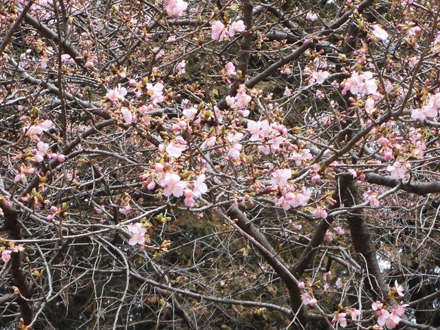 DSCN0802.jpg