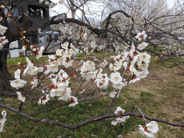 DSCN0814.jpg