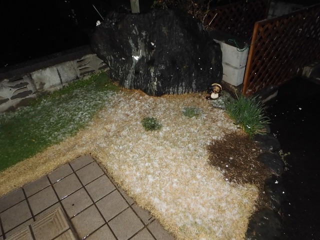 DSCN0815.jpg