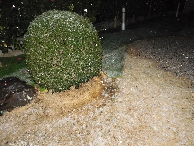 DSCN0816.jpg